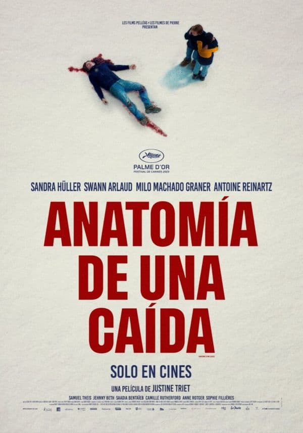 Cartell de Anatomía de una caída