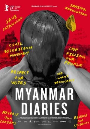 Cartell de Myanmar Diaries
