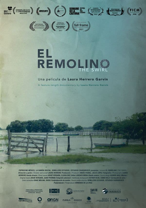 Cartell de El remolino