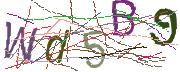 Imatge CAPTCHA