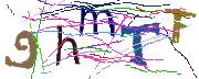 Imatge CAPTCHA
