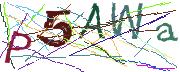 Imatge CAPTCHA
