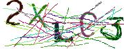 Imatge CAPTCHA