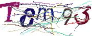 Imatge CAPTCHA