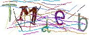 Imatge CAPTCHA