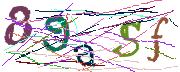 Imatge CAPTCHA