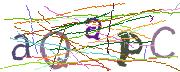 Imatge CAPTCHA