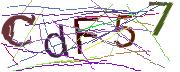 Imatge CAPTCHA