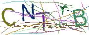 Imatge CAPTCHA