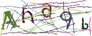 Imatge CAPTCHA