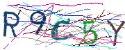Imatge CAPTCHA